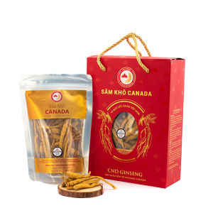 [Túi 100g] Nhân Sâm Canada 5 năm tuổi nguyên củ khô CND Ginseng tăng cường sức khoẻ sinh lý chống lão hoá ung thư ăn ngủ ngon (Tây dương sâmsâm Bắc Mỹsâm Hoa Kỳ)