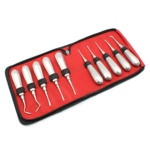 10pcs/set Dental Elevator Set Stainless Steel Curved Root Lift Elevator for Tooth Extracting Surgical Tools Dentist Instruments