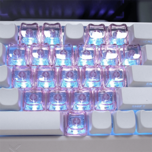 LUSIT 10Pcs 1U Cat Shaped Keycaps PBT Transparent MAO Profile Keycaps Cute Cartoon Blank Key Caps For MX Switch Keyboard