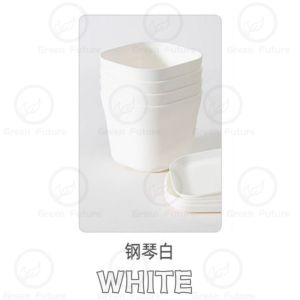 WHITE BLACK COLOR SUCCULENT CACTUS   thick flower pot SQUARE PLASTIC POT PASU PLASTIK 四方盆 多肉盆 万象盆 万象方盆 仙人掌盆 彩色盆 小盆 花盆