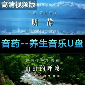 【Ship in 24H】U盘    USB drive  音乐风景U盘音药五音疗疾音乐风景视频车载居家放松减压助眠必备