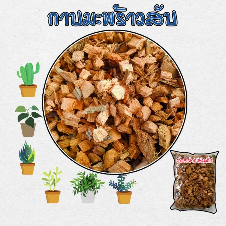 กาบมะพร้าวสับเล็กคุณภาพดีสำหรับไม้ฟอกอากาศและไม้ด่าง