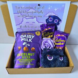 ✨ Wanderer Purple Kitty Cat Anime Gift for Girlfriends or Best Friend Giftset Hampers Blue Theme Cute Ready to Gift