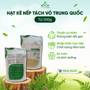 Kê Vàng Tách Vỏ Sức Khỏe Xanh – Kê nếp Trung Quốc Hạt Ngũ Cốc Tự Nhiên Ăn Chay Eat Clean Hỗ Trợ Giảm Cân