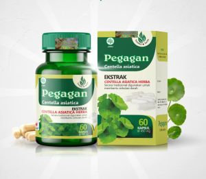 Daun Pegagan Ekstrak Herbal Kapsul Obat Migrain Melancarkan aliran darah Alami isi 60.