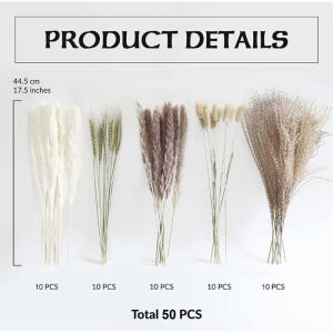 Dried Flower Bouquet Pampas Grass Reed Preserved Plants Bouquet Wedding Party Flower Home Desktop Decor