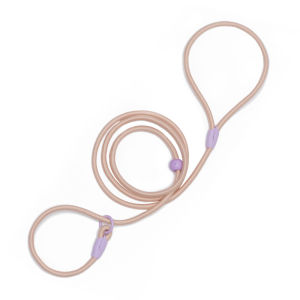 HamshMoc No Pull Dog Walking Leash P-shaped Dog Rope Leash Integrated Dog Collar and Leash Training Slip Lead Control Accessories for Dogs