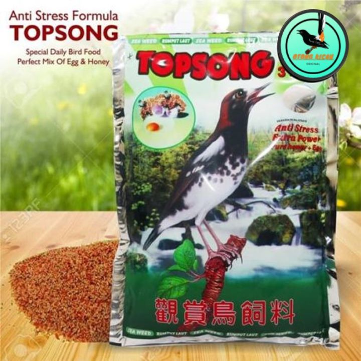 Kochada külotsiz olingan qizlarning fotosuratlari