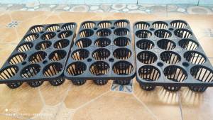 ถาดเพาะ 3 นิ้ว แพ็ค 3 ใบ คือ 1 ชุดได้รับ 3 ถาด นะครับ สินค้าพร้อมจัดส่ง