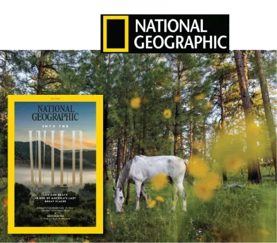 National Geographic Magazine Collection Going Home - Science History Nature Magazines