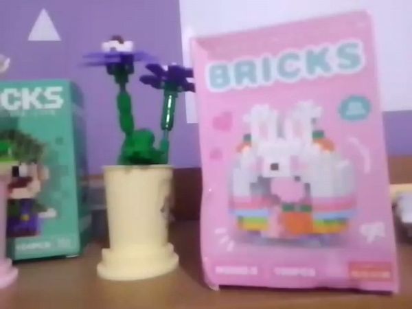 Buyer review video 3