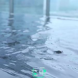 Free Shipping Bathroom Anti-Slip Slippers For Men In Summer New Style Slippers For Bathing WomenS CoupleS Anti-Odor Hollow Thick-Soled Slippers
