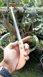 Gergaji Pruning Mini Bonsai Import: Pengertian & Manfaat