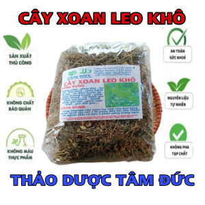 100g cây xoan leo ( tầm bóp leo) sấy khô