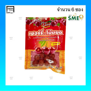 ฟรุ๊ตแลนด์ เชอร์รี่โบ๊ยยย เชอรี่คลุกบ๊วย ขนาด 30 กรัม จำนวน 6 ชิ้น