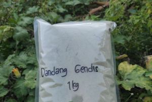 MURAH BUBUK DANDANG GENDIS HERBAL  250 GRAM