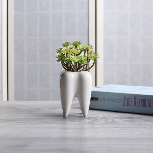 UNQCSA สร้างสรรค์ น่ารักค่ะ สวน พืชแคคตัส ตกแต่งบ้าน ห้องนั่งเล่น กระถางดอกไม้ เครื่องประดับโต๊ะ ภาชนะพืช กระถางต้นไม้