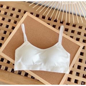 เสื้อในผู้หญิง รุ่นB-061 สปอร์ตบราไร้ขอบ ไร้โครง ฟรีไซส์   มีหลากสีให้เลือก พร้อมส่ง