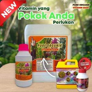 VITAMIN SIAM PURE ORGANIK Vitamin Siam Baja Viral Dari Thailand(4L 5L)