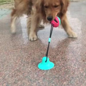 Dental Chew Ball for Dogs - Teeth Cleaning Suction Cup Toy 360 ° Chew Bumps & Double-Layer Brush Indestructible TPR w/ Bell Tartar Remover for Medium/Large Dogs