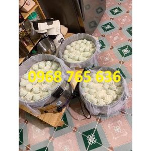 Nồi hấp xôi size 47cm 3 tầng hấp chạy điện Xửng hấp xôi công nghiệp [TẶNG MIỄNG LÓT HẤP XÔI + DỤNG CỤ VỆ SINH NỒI]