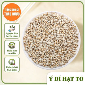 Hạt ý dĩ 1kg hạt bo bo nấu cháo chè hầm gà giúp lợi sữa sau sinh tốt cho sức khỏe
