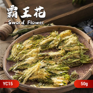 Chinese Herbs Herbal Medicine 霸王花 Bawanghua Nourishing The Lungs And Cough Relief 中药材 干货 润肺止咳 YC15