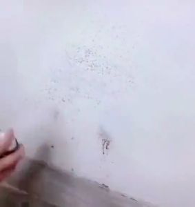【SKIT SG】450ML Wall Repair Spray Wall Painting Repair Surface Paint Quick Fix Crack Hole Scratch Stain Cover Aerosol Spray Easy DIY Home Renovation White Wall Touch Up Waterproof Fast Dry Indoor Wall Refurbish