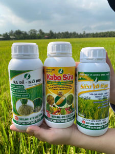 COMBO 3 SẢN PHẨM PHÂN BÓN LÁ CHUYÊN LÚA (Ra rễ nở bụi 500ml Siêu vô gạo 500ml kabo sữa 500ml)