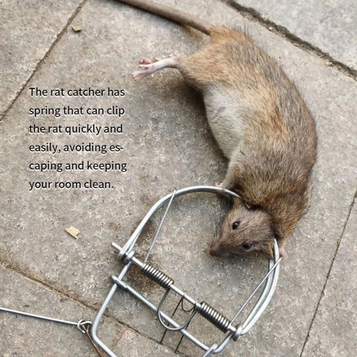 Outdoor Steel Mouse Trap Weasel Catch Catch Spring Trapt Rodent Cage