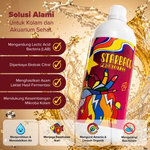 Probiotik Starbacc 1 liter Untuk Kesehatan Ikan Koi Mas Koki Nila Channa dan Lainnya IKANESIA