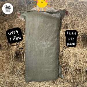 [ฟางข้าวยกก้อน] แห้งคลุมหน้าดิน สำหรับเพาะเห็ด ปลูกผัก หมักปุ๋ย คงอุณหภูมิความชื้นบนหน้าดินได้อย่างดี