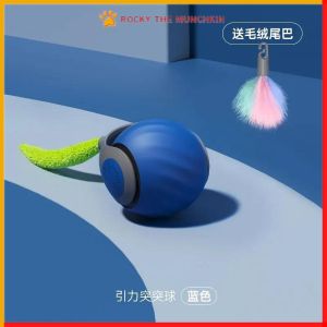 Speedy Sprint Ball Toy for Cat Type-C Rechargeable Interactive Cats Toys