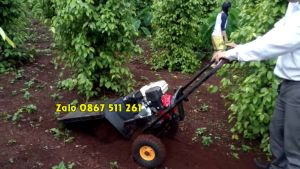 Máy xới đất xẻ rãnh cho vườn cà phê