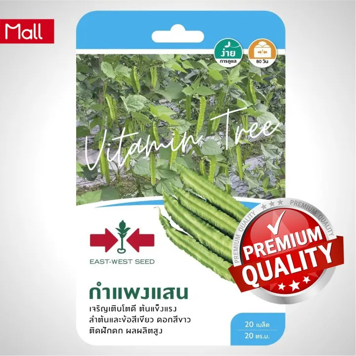 เมล็ดพันธุ์ถั่วพู กำแพงแสน ตราศรแดง 20 เมล็ด