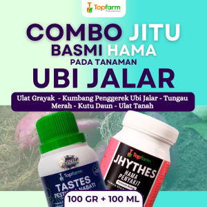 Insektisida Topfarm / Obat Semprot Ubi Jalar / Obat Hama Ubi Jalar Lanas / Obat Semprot Pembesar Ubi Jalar / Obat Ubi Jalar / Obat Pembasmi Hama Ubi Jalar / Obat Ulat Ubi Jalar / Obat Buat Ubi Boleng Ubi Jalar