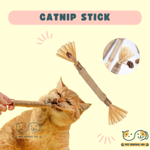 Catnip Stik Snack Anti Stress Untuk Kucing Pembersih Gigi