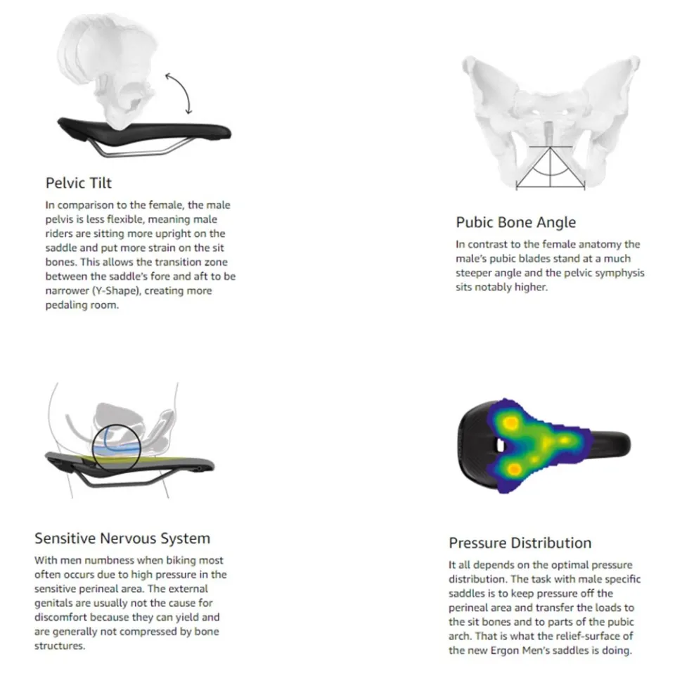 Sit Bones Bike Saddle Perineum Pain Ergonomic Comfort Bicycle