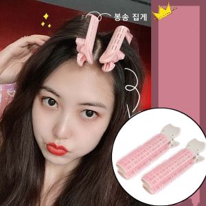 2pcs Easy Use Hair Rollers Styling Tool/Hair Bang/Hair Rollers