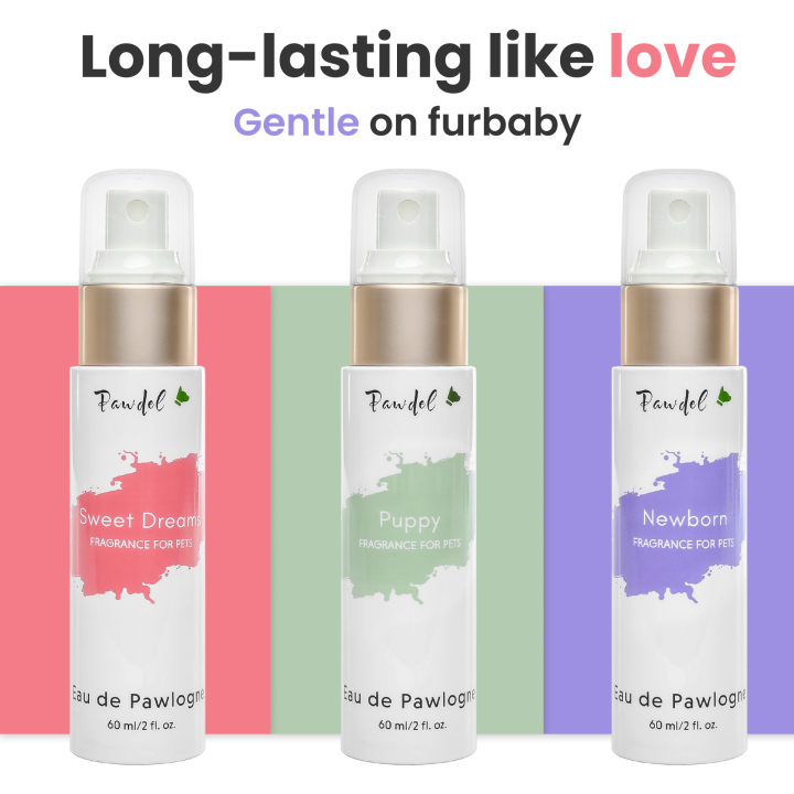 Long lasting dog perfume best sale