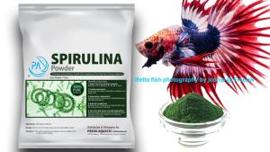PA Spirulina Powder 100g for anak ikan laga guppy kualiti bagus serbuk chip suitable baby fish betta fry gapi tetra shrimp daphnia kutu air rotifer aquarium can mix into other food for bigger aquarium discus arowana goldfish flowerhorn spirulina
