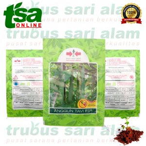 ANGGUN TAVI F1 (isi 75 biji) - Benih bibit sayur sayuran oyong gambas perawatan mudah