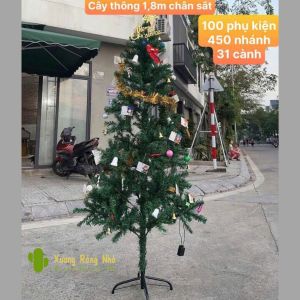 Cây Thông Noel Cao 180cm Full Phụ Kiện Trang Trí Đèn Và Đồ Trang Trí Xương Rồng Nhỏ