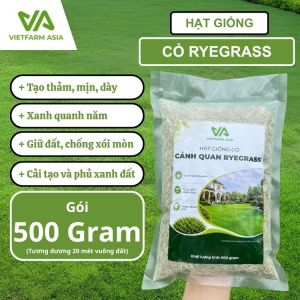 Hạt Giống Cỏ Cảnh Quan RYEGRASS Cao Cấp - Tỉ Lệ Nảy Mầm Cao - Dễ Trồng & Chống Xói Mòn - Phù Hợp Sân Vườn & Biệt Thự