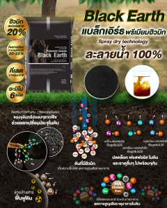 แบล็กเอิร์ท 25Kg (ดวงตะวันเพชร)