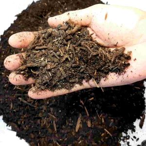 Media Tanam Plus Kohe: Pilihan Media Tanam Organik Siap Pakai