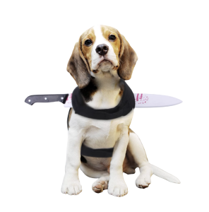 ชุดฮาโลวีนหมาแมว ชุดฮาโลวีนหมาใหญ่ คอสตูมสุนัขแฟนซี ชุดคอสเพลย์สัตว์เลี้ยง พร็อพมีดปลอม ขวาน เลื่อย Halloween Pet Costume