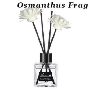 Pengharum Ruangan Pengharum Ruangan Aromatherapy Parfum Essential Oil Pewangi Ruangan Relaxing