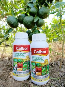 Phân bón CANXI BO - TĂNG ĐẬU HOA TRÁI NON DAI CUỐNG HOA CHỐNG RỤNG HOA - CALBOR chai 500ml