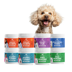 Dr. Shiba ULTIM-EIGHT BUNDLE Happy Tummy Pro Immune Jolly Joints Silky Fur & Peaceful Paws Healthy Calming Chews Treats Supplement for Dogs | Packed with Essential Vitamins | Stress-Relieving | Enhances Overall Well-being
